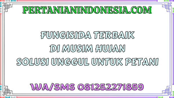 Fungisida Terbaik Di Musim Hujan Solusi Unggul Untuk Petani